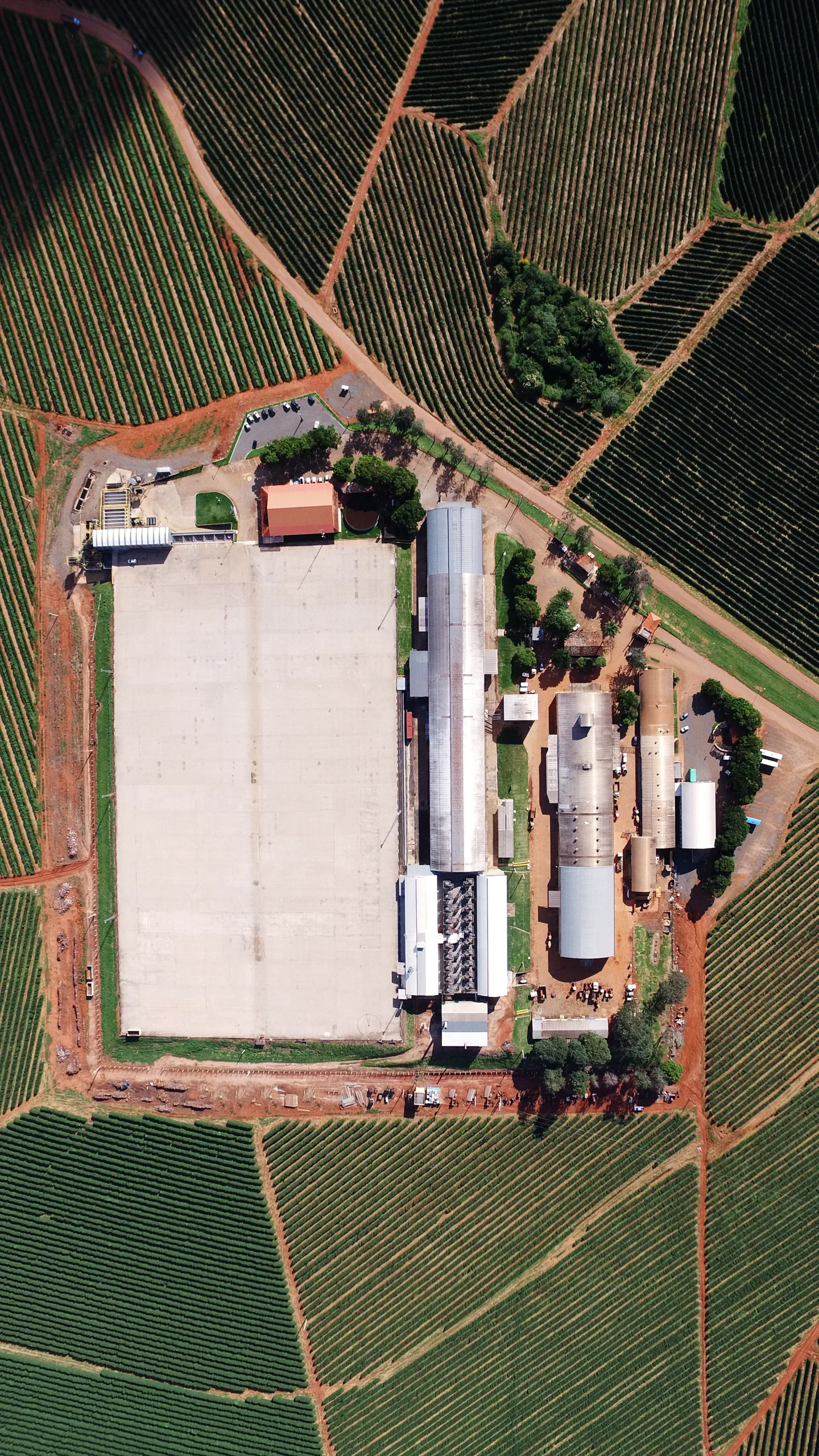Aerial view of the Ipanema coffee plantation
