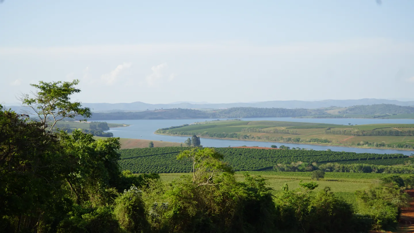 Overlooking the rolling hills of coffee plantations