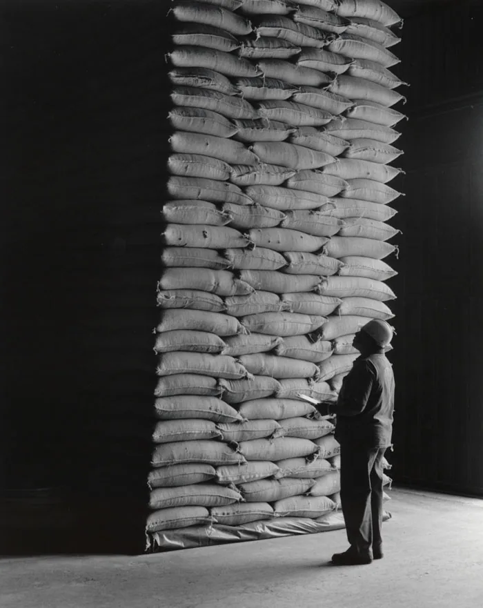 Worker counting stacks of coffee sacks in the warehouse